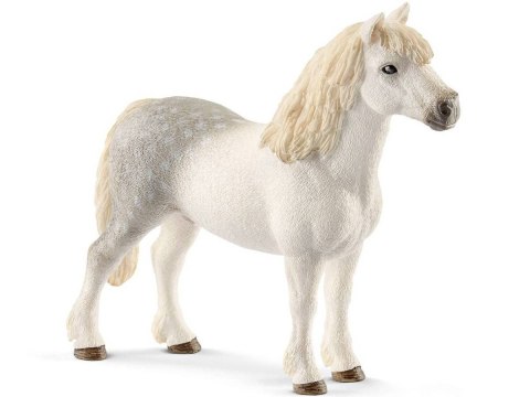 Schleich Schleich 13871 Kuc Górski Rasy Walijskiej